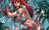 Red_sonja_48_by_ivan_nes-d323cj6