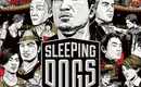 Gaming_sleeping_dogs_box_art