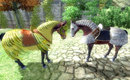 Horse_armor_01